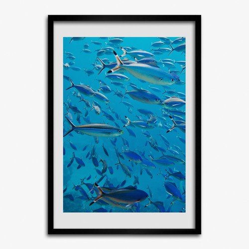 Photo cadre 50x70cm salon - 50x70cm,