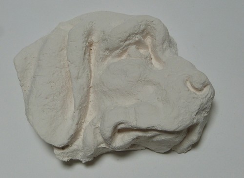 Tête chien plâtre - tête,