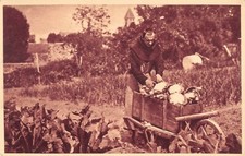 CPA 94 FONTENAY SOUS BOIS PETIT SEMINAIRE LE FRERE JARDINIER