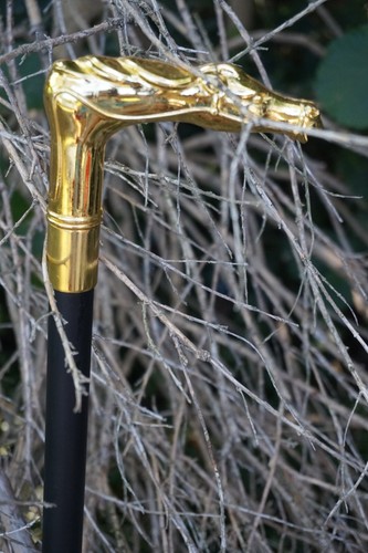 H5925 canne tete de - or,