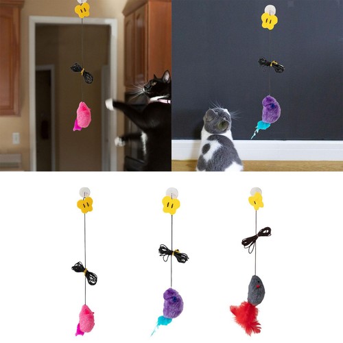 Souris suspendue pour - , chat