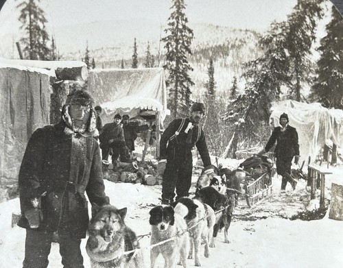 Usa états unis alaska - États-unis, un