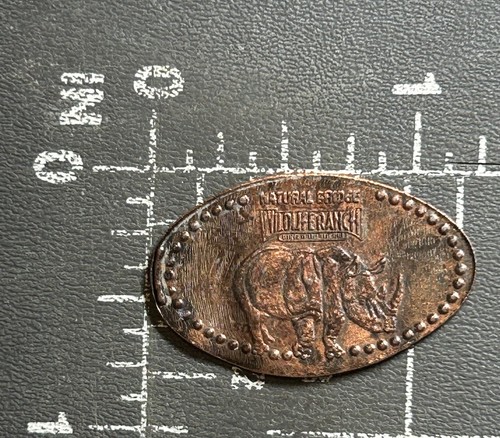 Penny écrasé allongé - penny,