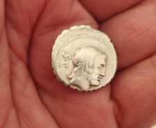 république romaine denier Antonia  ( -83 -82 AJC )