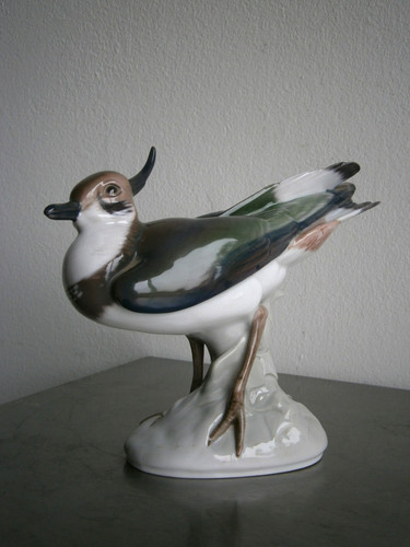 Oiseau vanneau huppé - oiseau,
