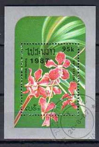 Fleurs orchidées laos - fleurs,