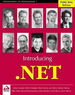 Introducing net programmer - .net, (programmer