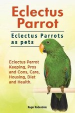 Eclectus Parrot. Eclectus