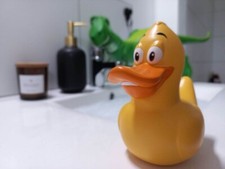 Chuck E Duck Toy Story