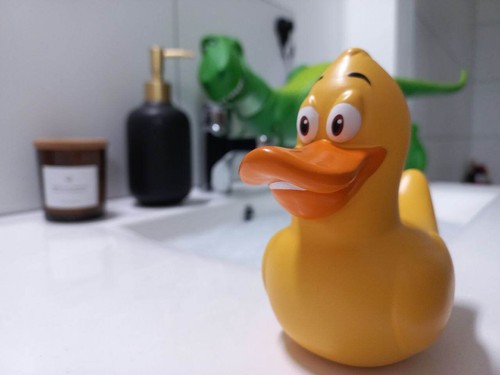 Chuck duck toy story - e,