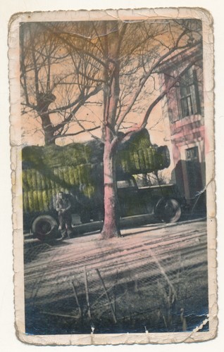 Photo ancienne colorisée - ,