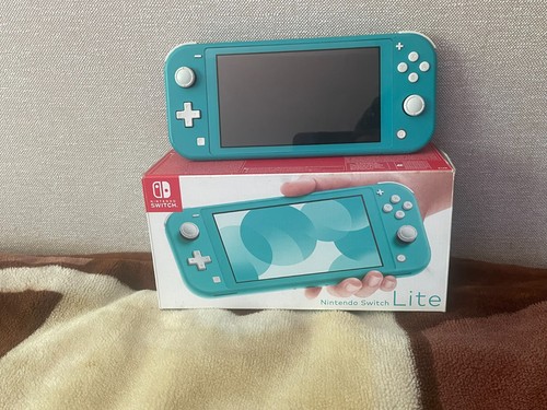 Switch lite picofly