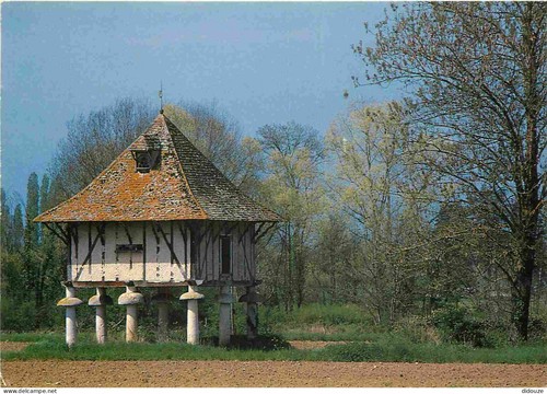 Carte postale pigeonniers - postale,