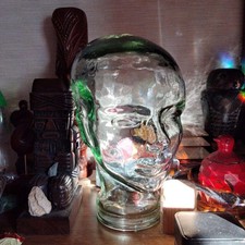 Buste mannequin tête humaine