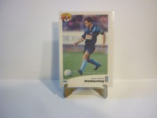 Carte foot panini official - foot,