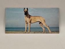 Nestlé MERVEILLES DU MONDE Carte N°94 "le dogue allemand ou le grand danois"