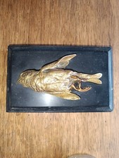 Moineau bronze paul - moineau, de