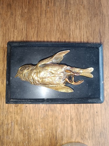 Moineau bronze paul - en,