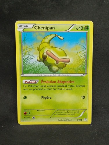 Chenipan générations - xy:générations,