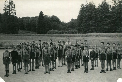 Lot photos scouts - de, 2