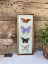 1125⚜️ Ancien Cadre