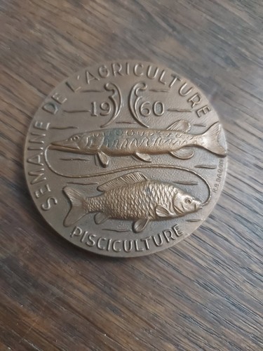 Médaille bronze - médaille,