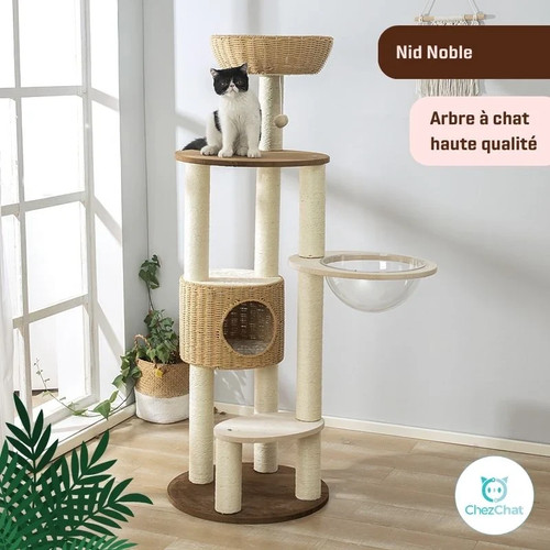 Arbre chat robuste - chat, cm