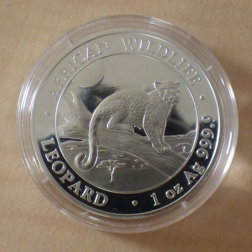 Somalia 100 schillings - , leopard