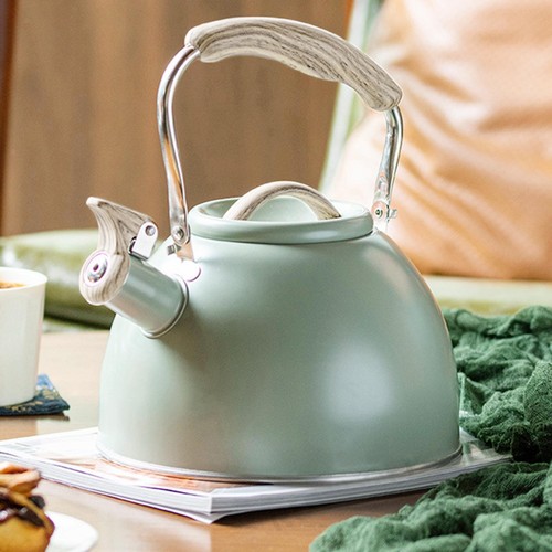 Bouilloire sifflante portable