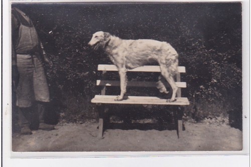 Cyprien carte photo - :,