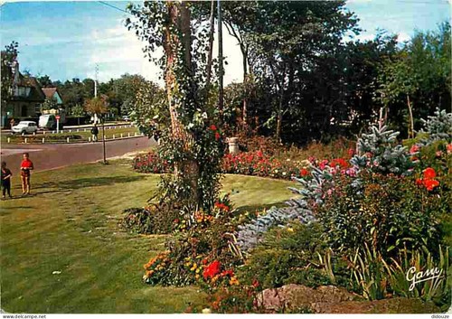 Carte postale stella - postale,