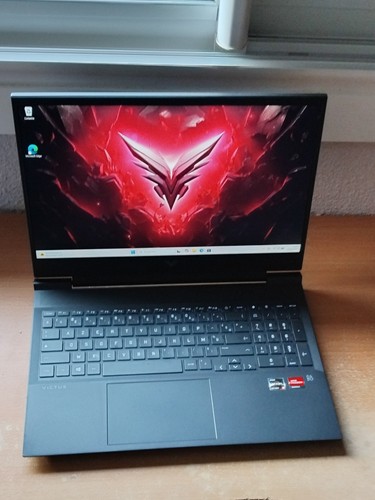 Portable gamer - pc,