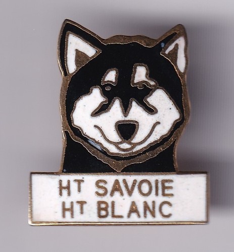 Rare pins pin sport - sport, hiver