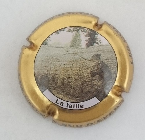 Capsule champagne coteaux - capsule,
