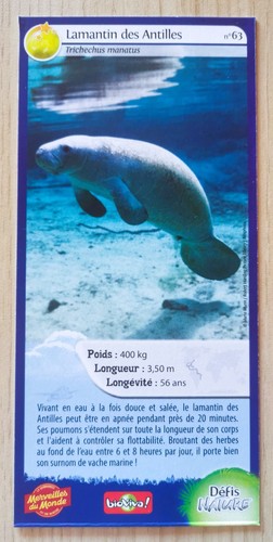 Carte merveilles monde - merveilles, du