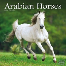 Calendrier 2026 - CHEVAUX ARABES