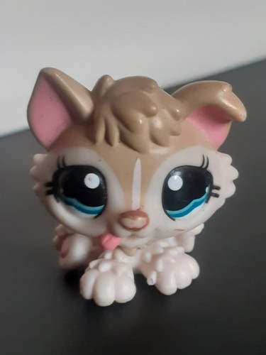 Petshop chien chiot husky - chien,