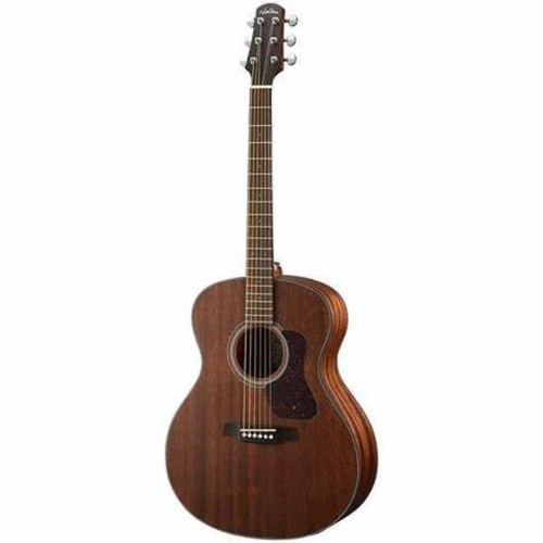Walden g551e acoustic - g551e,