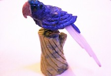 Perruche (14x3,5x5 cm) Socle