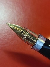 Superbe stylos plume PARKER Pl
