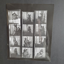 Photo tirage argentique