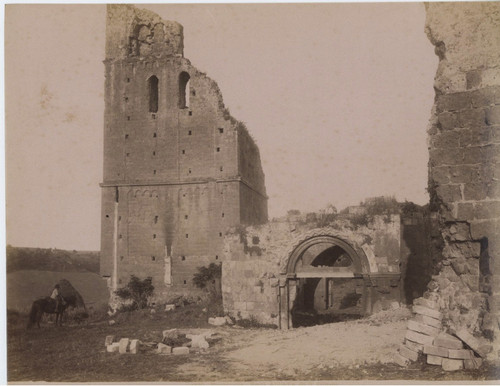 Moscioni italia toscanella - moscioni,, italia,