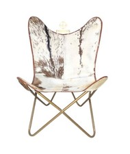 Fauteuil De Salon En Cuir