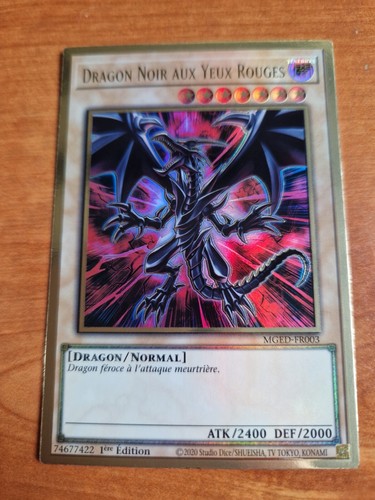 Dragon noir aux - noir,