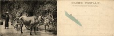 CPA AK VIETNAM La Charette a Boeufs annamite (428057)