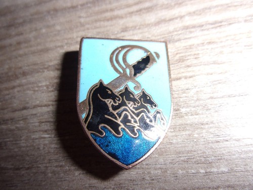 Insigne patrouilleur sabre - insigne,