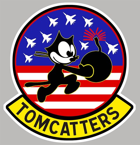 Grumman tomcat f14 tomcatters - tomcat,