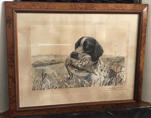 Leon danchin chien chasse - leon,