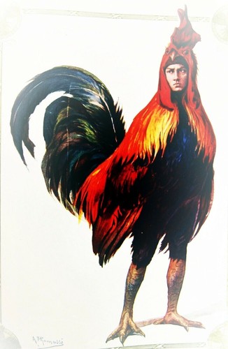 Illustration coq chantecler - illustration,