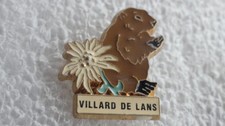 PIN S SKI NEIGE VILLARD DE LANS EDELWEISS MARMOTTE